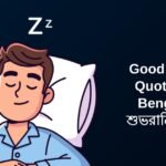 300+ Best Good Night Quotes In Bengali | শুভরাত্রি উক্তি